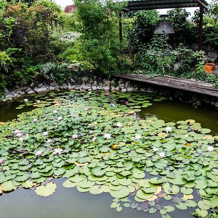 Pigal Panzio Bed & Breakfast Badacsonyors Bagian luar foto