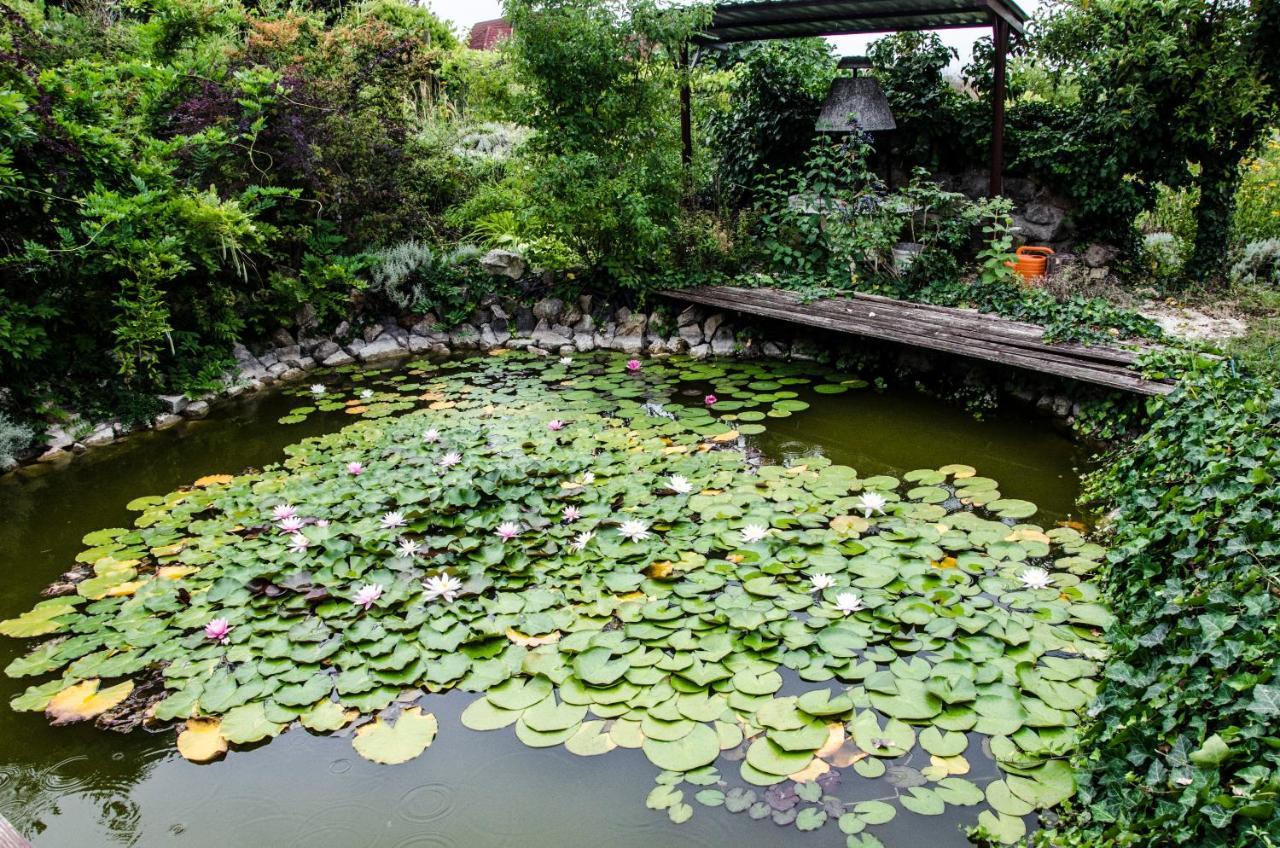 Pigal Panzio Bed & Breakfast Badacsonyors Bagian luar foto
